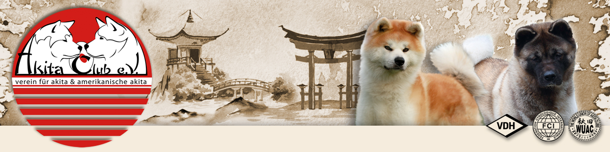 image alt text 